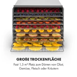 Fruit Jerky Steel 10 Dörrautomat 10 Etagen 1000 W Fläche: 1,5 M² Timer -Innovation Home Appliances Store 10028437 de 0006 logo