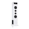 Karaboom 100 Turmlautsprecher 120W Max. Bluetooth 2 In 1 USB