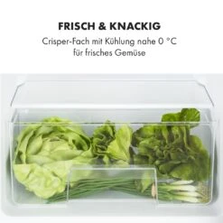 Big Daddy Cool Kühl-Gefrierkombination 61/25 Liter 2 Ebenen Edelstahl -Innovation Home Appliances Store 10034005 de 0005 logo