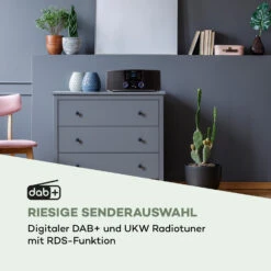 Stockton Micro Stereosystem 20W Max. DAB+ UKW CD-Player BT OLED -Innovation Home Appliances Store 10034517 de 0004 logo