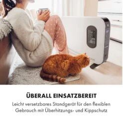 Baltrum Flow Elektroheizung Konvektor 2000 W Standgerät -Innovation Home Appliances Store 10035034 de 0007 logo