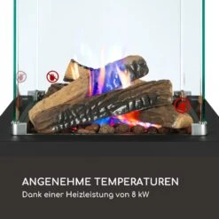 Flagranti Crystal View Gasheizstrahler 8kW Edelstahl 10 Flagranti Crystal View Gasheizstrahler 8kW Edelstahl -Innovation Home Appliances Store 10035093 de 0003 logo