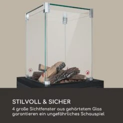 Flagranti Crystal View Gasheizstrahler 8kW Edelstahl 12 Flagranti Crystal View Gasheizstrahler 8kW Edelstahl -Innovation Home Appliances Store 10035093 de 0005 logo