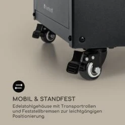 Flagranti Crystal View Gasheizstrahler 8kW Edelstahl 15 Flagranti Crystal View Gasheizstrahler 8kW Edelstahl -Innovation Home Appliances Store 10035093 de 0008 logo