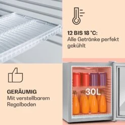 Brooklyn 32 Mini-Kühlschrank Glastür LED Ablage 10 Brooklyn 32 Mini-Kühlschrank Glastür LED Ablage -Innovation Home Appliances Store 10035226 de 0004 usp