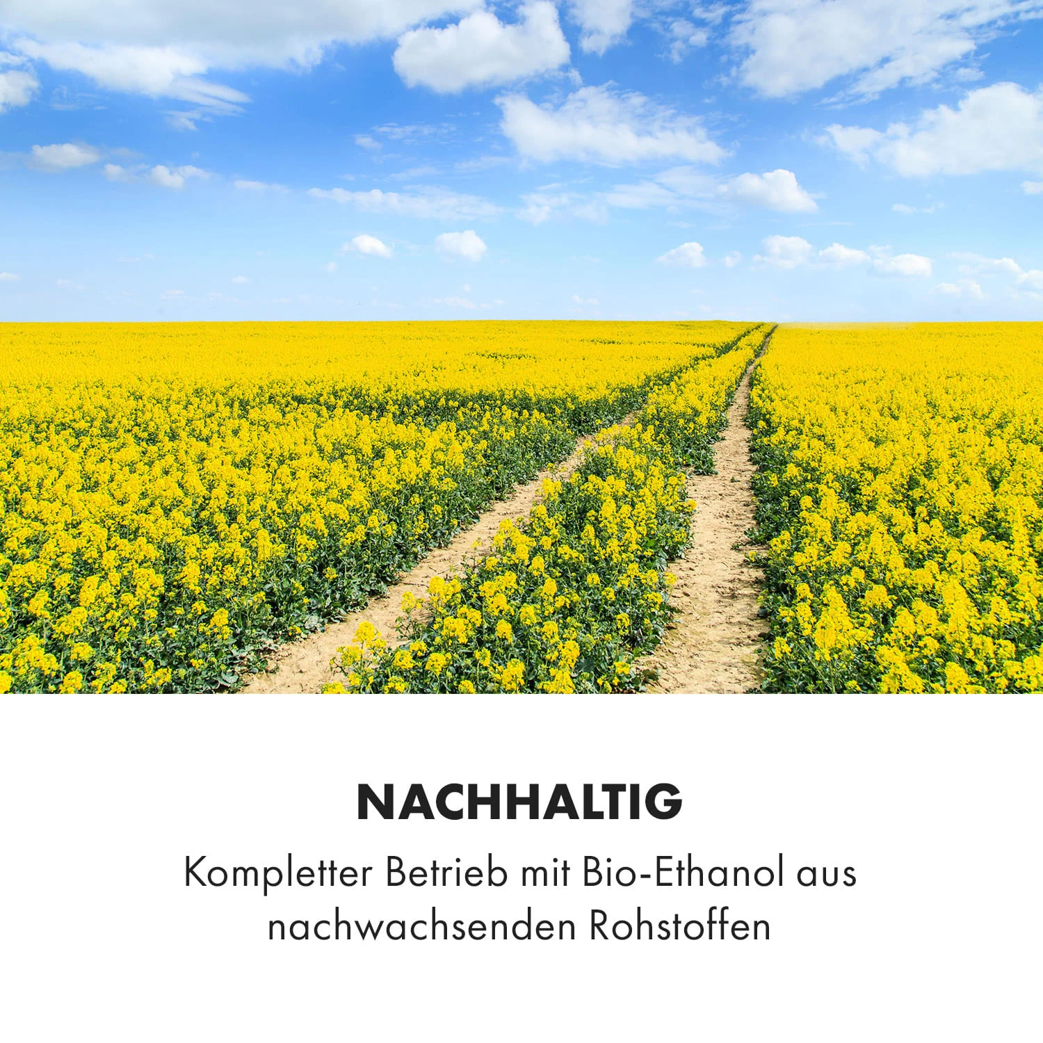Phantasma Niro Ethanol-Kamin Sicherheitsbrenner Löschhilfe 7 Phantasma Niro Ethanol-Kamin Sicherheitsbrenner Löschhilfe – Bild 7