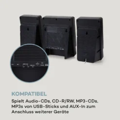 Microstar Sing Microsystem Karaoke-Anlage CD BT USB Fernbedienung -Innovation Home Appliances Store 10035303 de 0007 logo