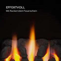 Andora Deluxe Gasheizofen Gasheizer Feuerschein Bis 3,4kW -Innovation Home Appliances Store 10035406 de 0003 logo