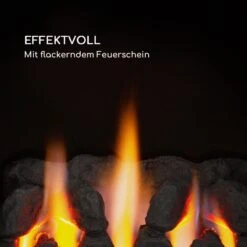 Andora Flame Gasheizofen Gasheizer Feuerschein Bis 3,4kW -Innovation Home Appliances Store 10035407 de 0003 logo