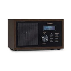 Ambient DAB+/FM Radio BT 5.0 AUX-In LC-Display Wecker Eieruhr