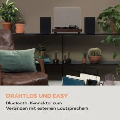 TT-Classic Light Plattenspieler Staubschutz Bluetooth 33/45/78 U/min -Innovation Home Appliances Store 10038898 de 0003 logo