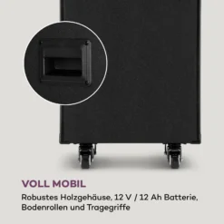 Pro Spin 10 Karaoke-System 14,1" Touch-Display 2xMic WiFi BT USB HDMI -Innovation Home Appliances Store 10040307 de 0007 logo